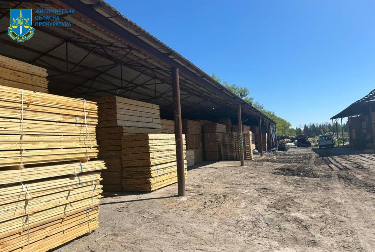 На Житомирщині судитимуть посадовців за розкрадання лісу