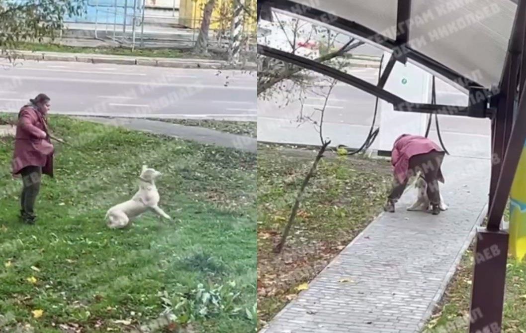 Била та кидала об землю: у Миколаєві жінка знущалася з собаки