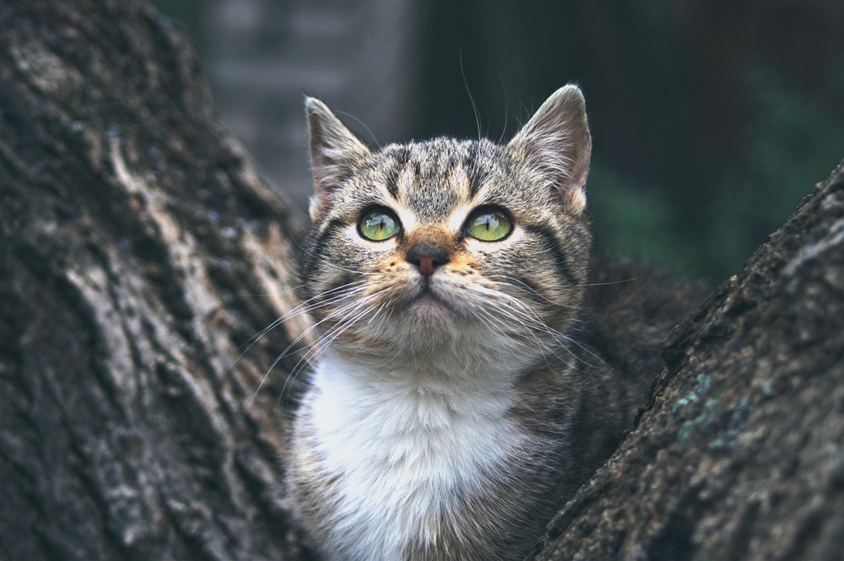 Гороскоп для всіх знаків зодіаку на 25 листопада 2025