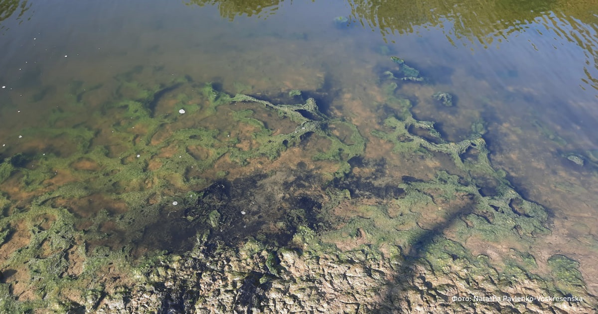 Новини України - Річку в Луганську окупанти перетворили на токсичний колектор - ЦНС