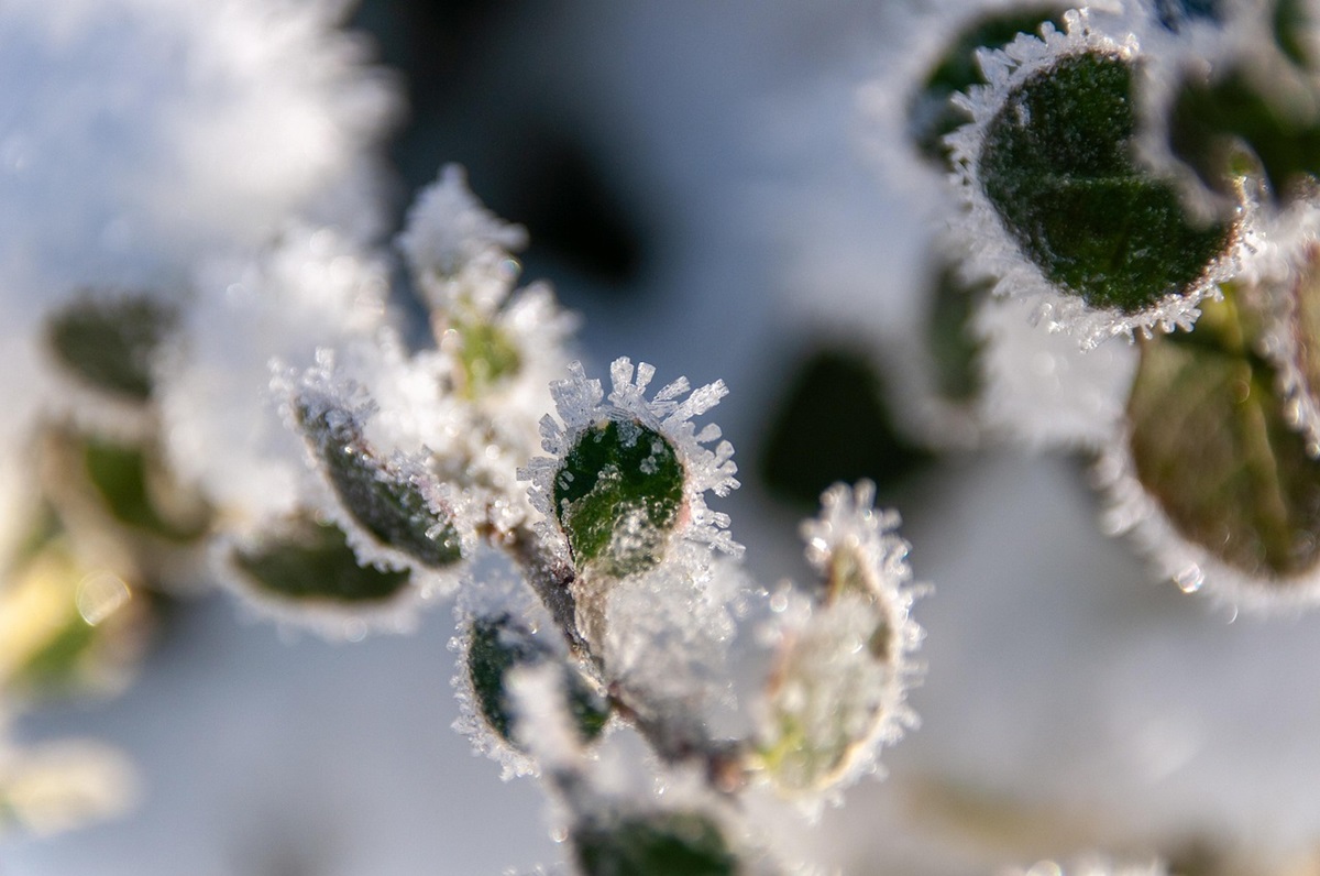 Синоптики розповіли, якою буде погода на Різдво