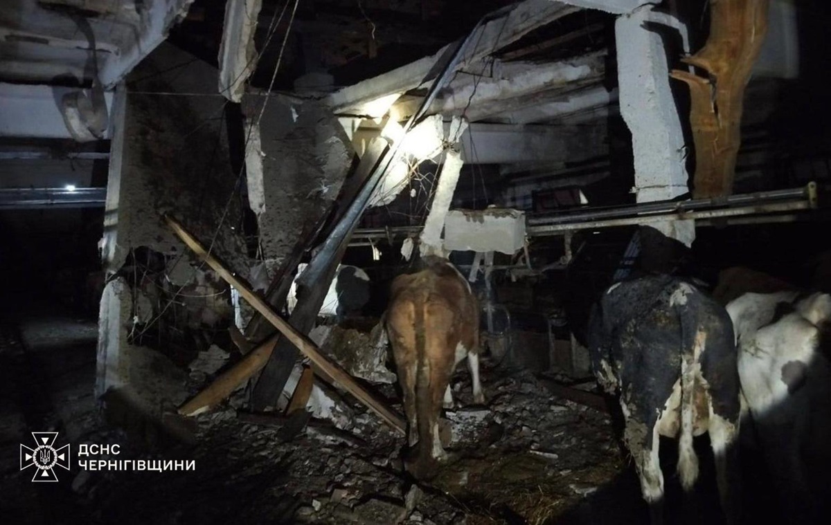 РФ атакувала сільгосппідприємство на Чернігівщині