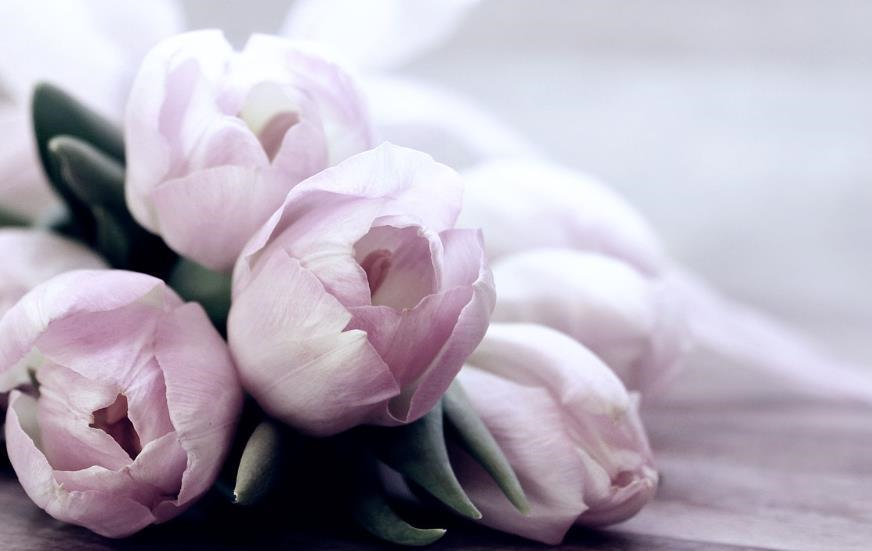 Свята 16 березня 2026: факти, традиції, прикмети