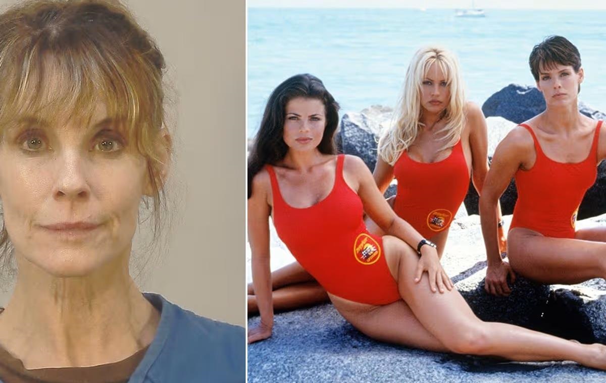 Визволила біглів. Зірку серіалу Рятувальники Малібу заарештували