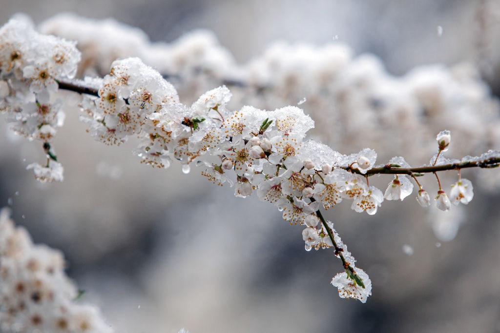 Дощ, мокрий сніг і заморозки: погода на понеділок