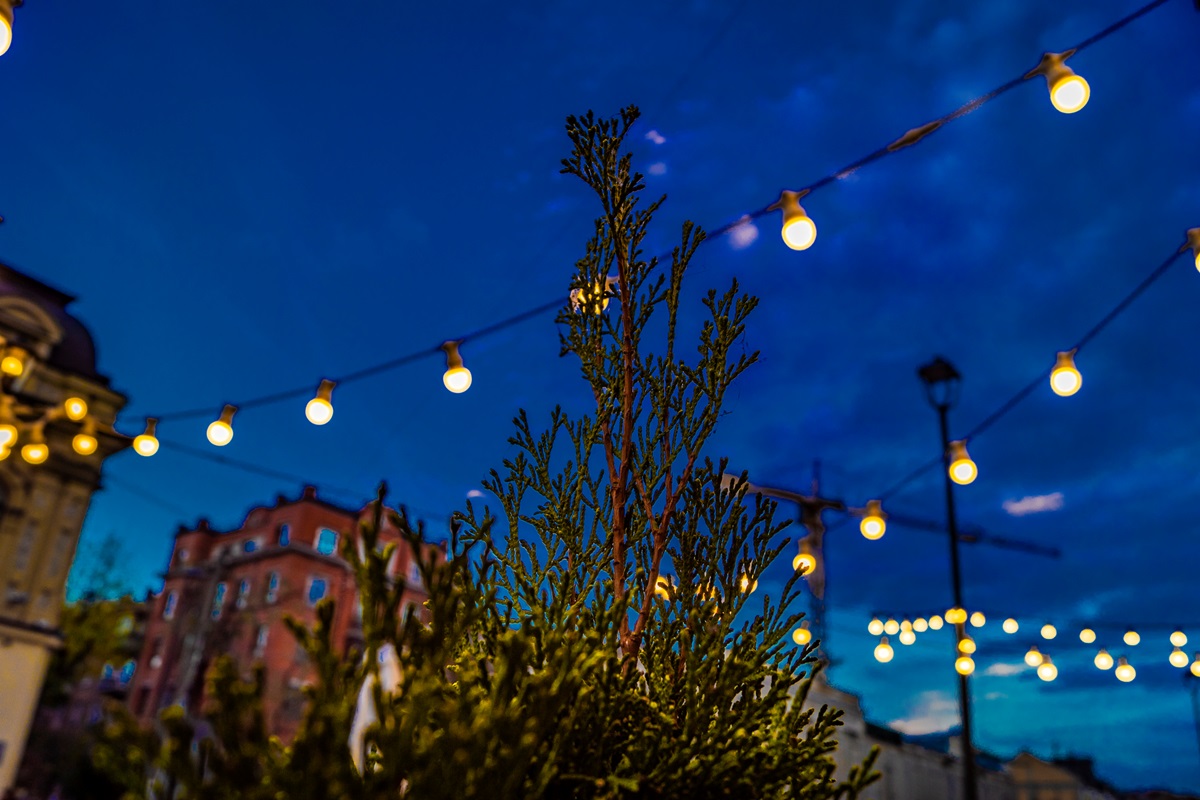 В Укренерго визначилися щодо відключень у вівторок